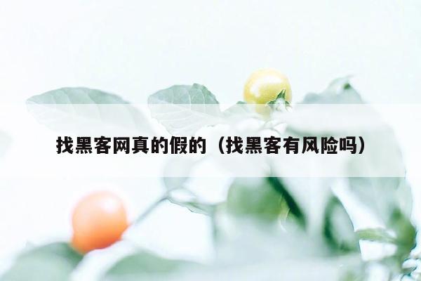 找黑客网真的假的（找黑客有风险吗）