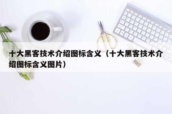 十大黑客技术介绍图标含义（十大黑客技术介绍图标含义图片）