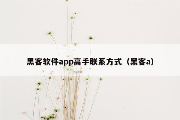 黑客软件app高手联系方式（黑客a）