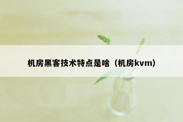 机房黑客技术特点是啥（机房kvm）