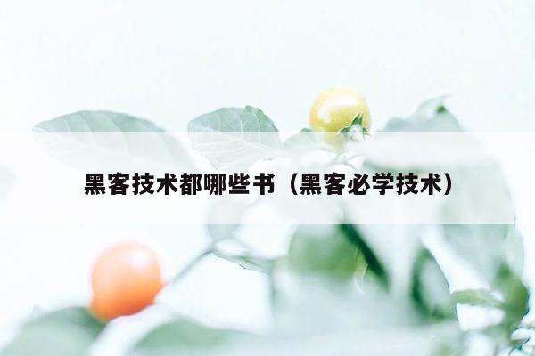 黑客技术都哪些书（黑客必学技术）