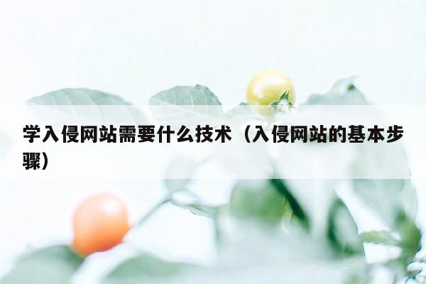 学入侵网站需要什么技术（入侵网站的基本步骤）