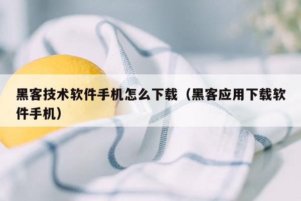 黑客技术软件手机怎么下载（黑客应用下载软件手机）