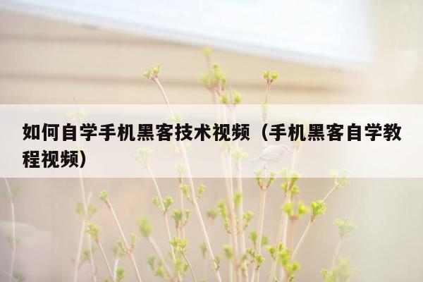 如何自学手机黑客技术视频（手机黑客自学教程视频）