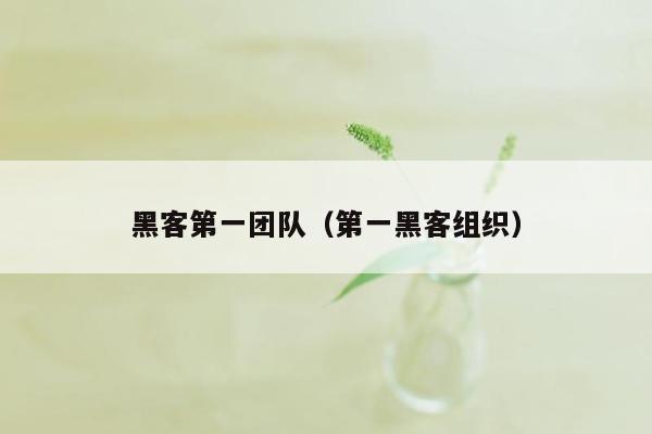 黑客第一团队（第一黑客组织）