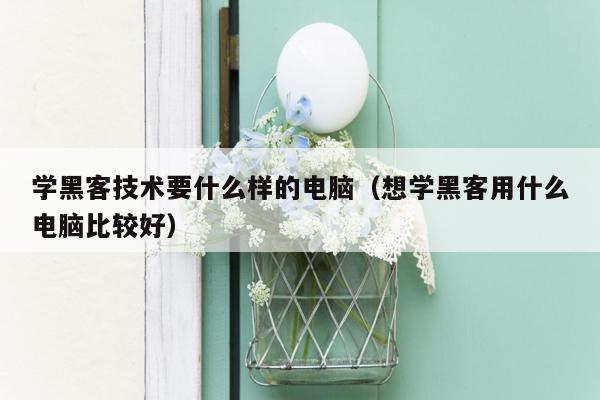 学黑客技术要什么样的电脑（想学黑客用什么电脑比较好）