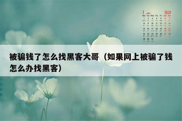 被骗钱了怎么找黑客大哥（如果网上被骗了钱怎么办找黑客）