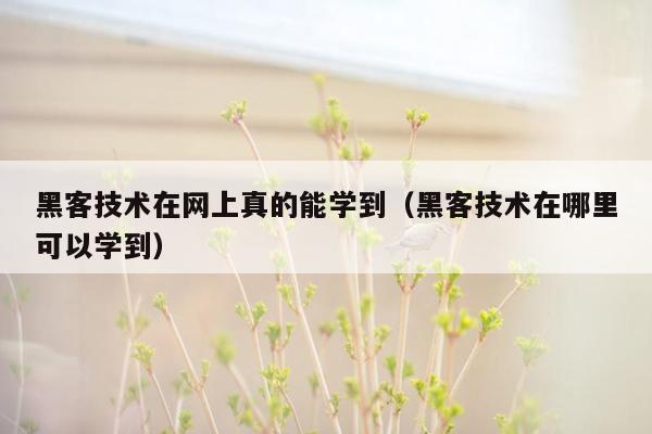 黑客技术在网上真的能学到（黑客技术在哪里可以学到）