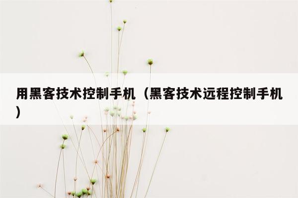 用黑客技术控制手机（黑客技术远程控制手机）