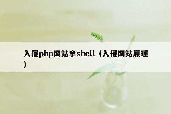 入侵php网站拿shell（入侵网站原理）