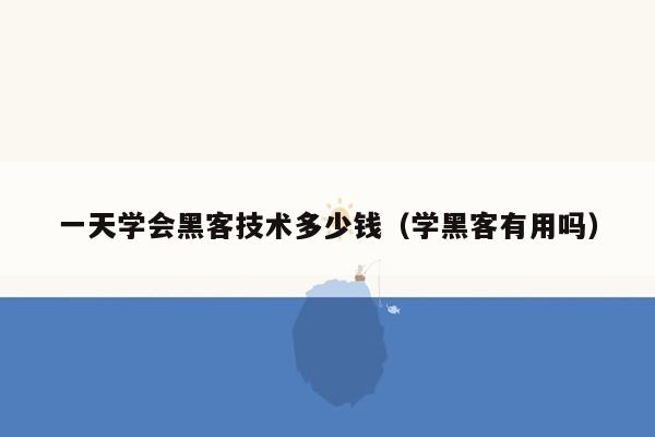 一天学会黑客技术多少钱（学黑客有用吗）