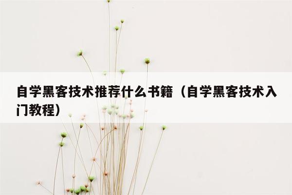 自学黑客技术推荐什么书籍（自学黑客技术入门教程）