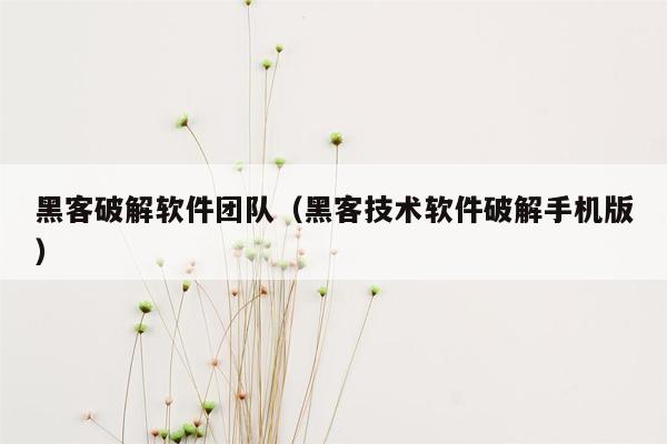 黑客破解软件团队（黑客技术软件破解手机版）