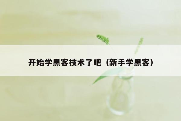 开始学黑客技术了吧（新手学黑客）