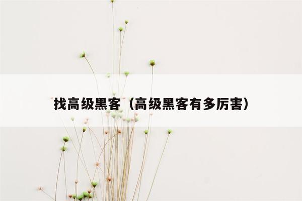 找高级黑客（高级黑客有多厉害）