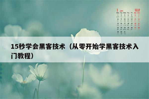 15秒学会黑客技术（从零开始学黑客技术入门教程）