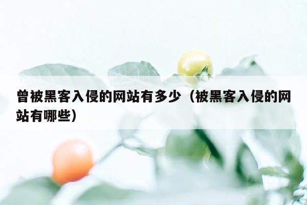 曾被黑客入侵的网站有多少（被黑客入侵的网站有哪些）