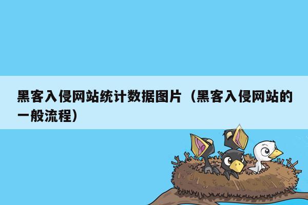 黑客入侵网站统计数据图片（黑客入侵网站的一般流程）