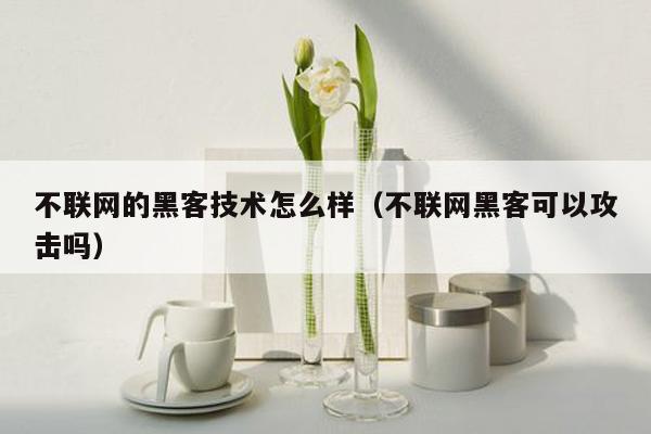 不联网的黑客技术怎么样（不联网黑客可以攻击吗）