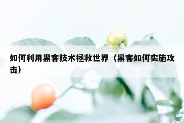 如何利用黑客技术拯救世界（黑客如何实施攻击）