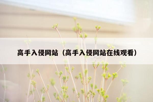 高手入侵网站（高手入侵网站在线观看）