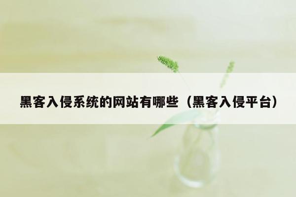 黑客入侵系统的网站有哪些（黑客入侵平台）