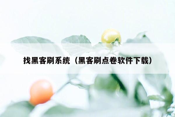 找黑客刷系统（黑客刷点卷软件下载）