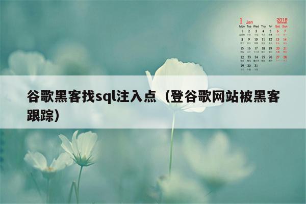 谷歌黑客找sql注入点（登谷歌网站被黑客跟踪）