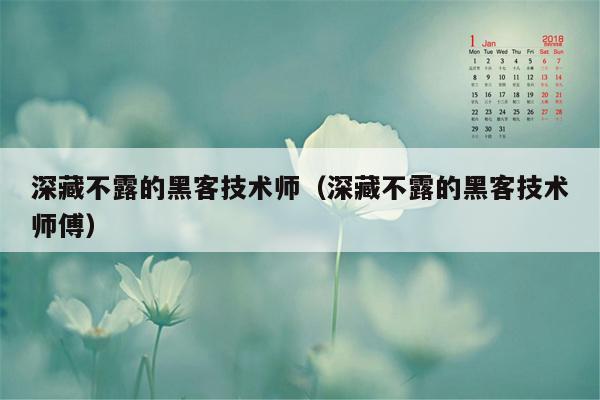 深藏不露的黑客技术师（深藏不露的黑客技术师傅）