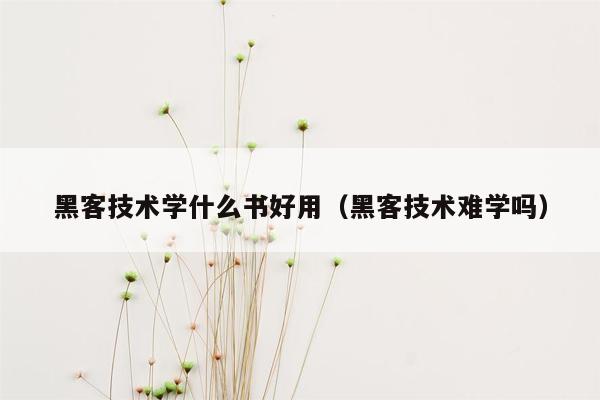 黑客技术学什么书好用（黑客技术难学吗）