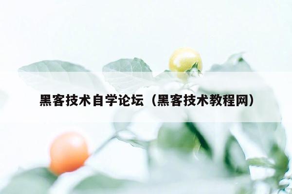 黑客技术自学论坛（黑客技术教程网）