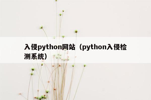 入侵python网站（python入侵检测系统）