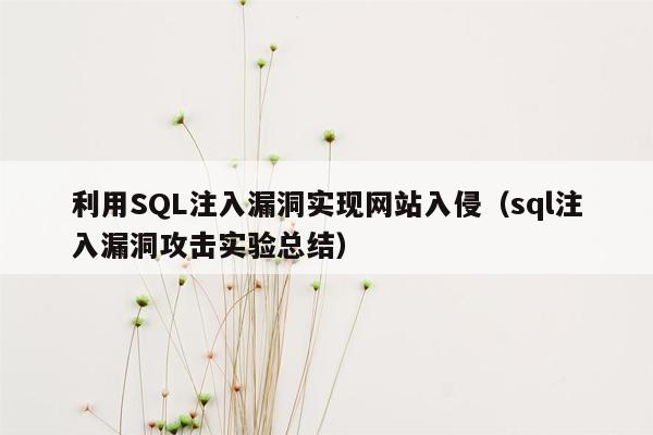 利用SQL注入漏洞实现网站入侵（sql注入漏洞攻击实验总结）