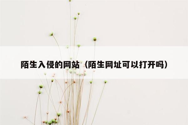 陌生入侵的网站（陌生网址可以打开吗）