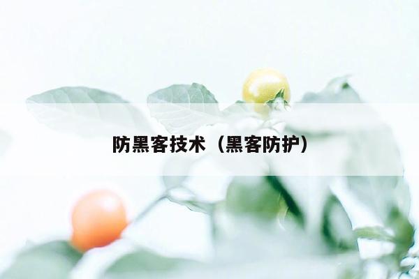 防黑客技术（黑客防护）