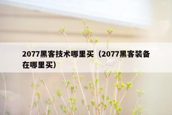 2077黑客技术哪里买（2077黑客装备在哪里买）