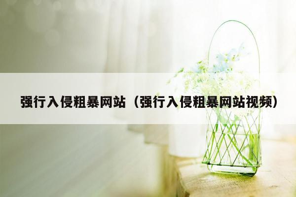 强行入侵粗暴网站（强行入侵粗暴网站视频）