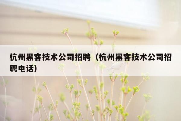 杭州黑客技术公司招聘（杭州黑客技术公司招聘电话）