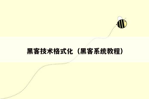 黑客技术格式化（黑客系统教程）