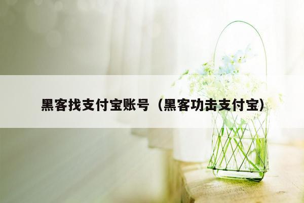 黑客找支付宝账号（黑客功击支付宝）