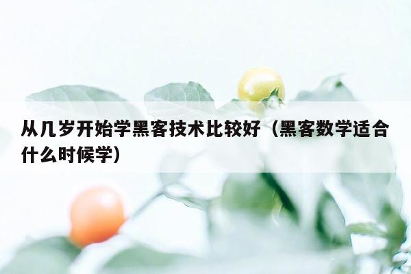 从几岁开始学黑客技术比较好（黑客数学适合什么时候学）