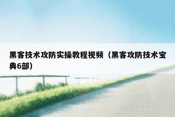 黑客技术攻防实操教程视频（黑客攻防技术宝典6部）