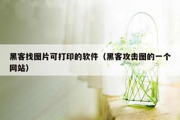 黑客找图片可打印的软件（黑客攻击图的一个网站）