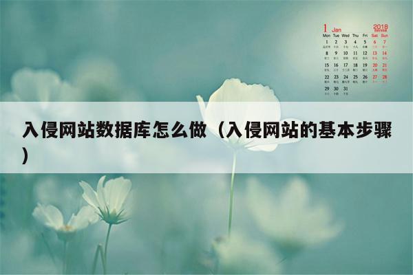 入侵网站数据库怎么做（入侵网站的基本步骤）