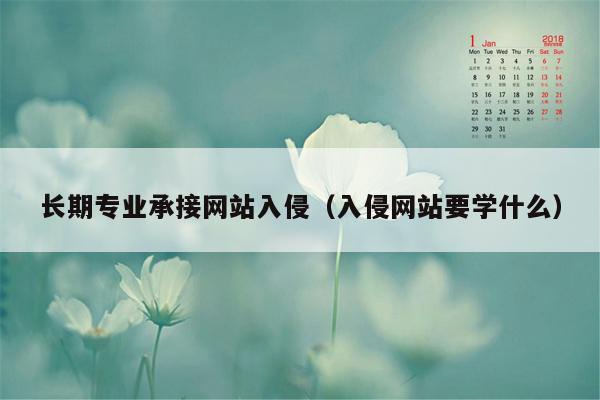 长期专业承接网站入侵（入侵网站要学什么）