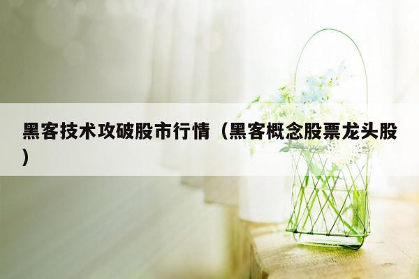 黑客技术攻破股市行情（黑客概念股票龙头股）