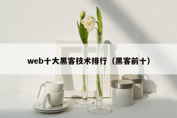 web十大黑客技术排行（黑客前十）