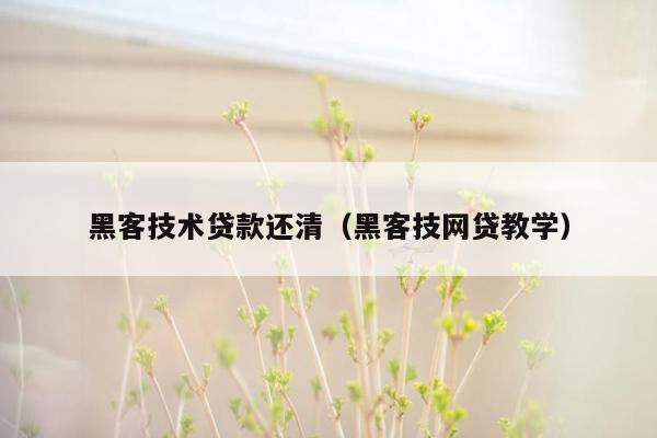 黑客技术贷款还清（黑客技网贷教学）