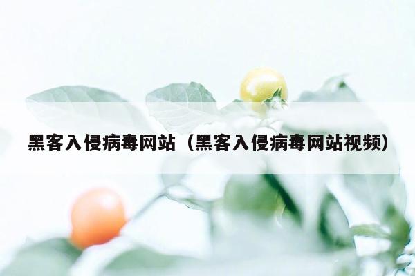 黑客入侵病毒网站（黑客入侵病毒网站视频）