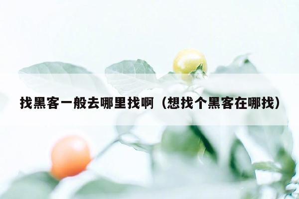 找黑客一般去哪里找啊（想找个黑客在哪找）